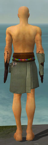 File:Ritualist Shing Jea Armor M gray arms legs back.jpg