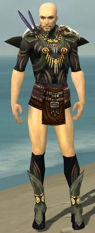File:Ritualist Elite Kurzick Armor M gray chest feet front.jpg