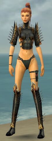 File:Assassin Exotic Armor F gray chest feet front.jpg