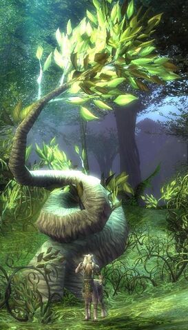 File:Sylvaritree.jpg