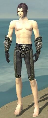 File:Elementalist Elite Stoneforged Armor M gray arms legs front.jpg