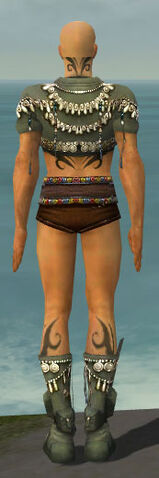 File:Ritualist Seitung Armor M gray chest feet back.jpg