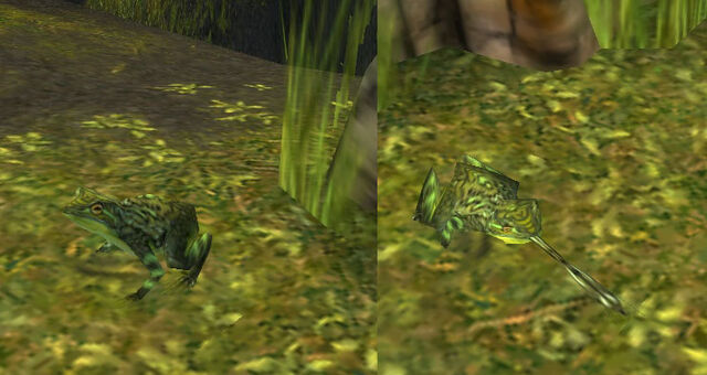 File:Ambient frog in LA.jpg