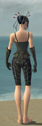 File:Necromancer Ascalon Armor F gray arms legs back.jpg
