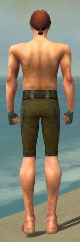 File:Mesmer Ascalon Armor M gray arms legs back.jpg