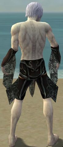 File:Necromancer Vabbian Armor M gray arms legs back.jpg