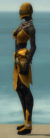 File:Ritualist Kurzick Armor F dyed side.jpg