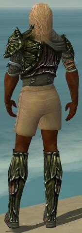 File:Ranger Elite Luxon Armor M gray chest feet back.jpg