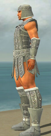 File:Warrior Ascalon Armor M gray side.jpg