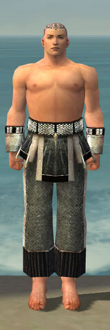 File:Monk Elite Sunspear Armor M gray arms legs front.jpg