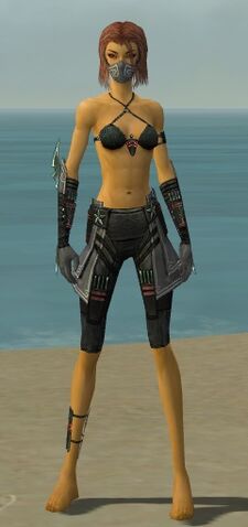 File:Assassin Luxon Armor F gray arms legs front.jpg