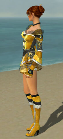 File:Elementalist Kurzick Armor F dyed side.jpg