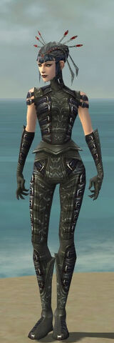 File:Necromancer Ascalon Armor F gray front.jpg