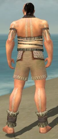 File:Monk Istani Armor M gray chest feet back.jpg