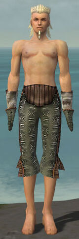 File:Elementalist Istani Armor M gray arms legs front.jpg