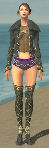 File:Mesmer Krytan Armor F gray chest feet front.jpg