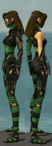 File:Assassin Elite Kurzick Armor F dyed side.jpg