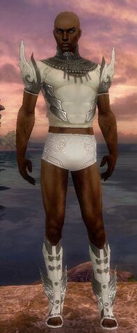 File:Paragon Vabbian Armor M gray chest feet front.jpg