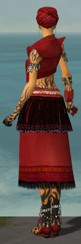 File:Ritualist Seitung Armor F dyed back.jpg