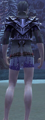 File:Thaumaturgic Robes M gray back.jpg
