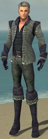 File:Mesmer Elite Elegant Armor M dyed front.jpg