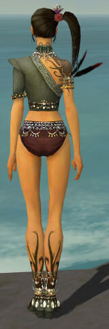 File:Ritualist Canthan Armor F gray chest feet back.jpg