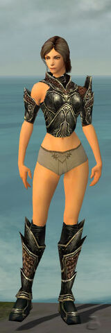 File:Warrior Kurzick Armor F gray chest feet front.jpg