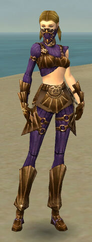 File:Ranger Sunspear Armor F dyed front.jpg