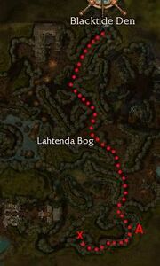 Drunken Shauben map