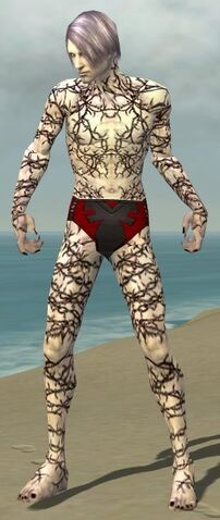 File:Necromancer Elite Scar Pattern Armor M gray front.jpg