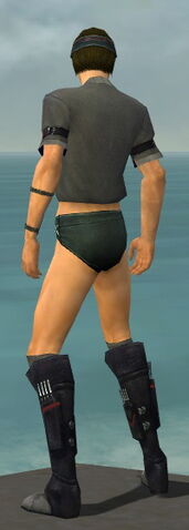 File:Assassin Shing Jea Armor M gray chest feet back.jpg