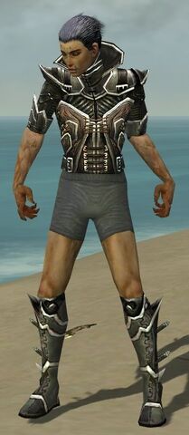 File:Necromancer Elite Kurzick Armor M gray chest feet front.jpg