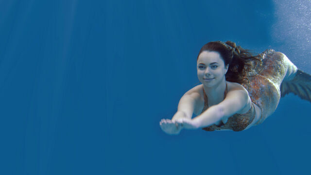File:Nixie swimming.jpg