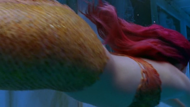 File:Red Herring.png