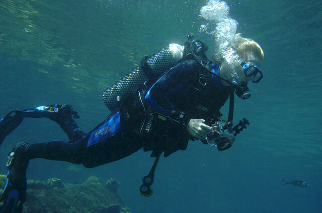 File:Lewis Diving.jpg