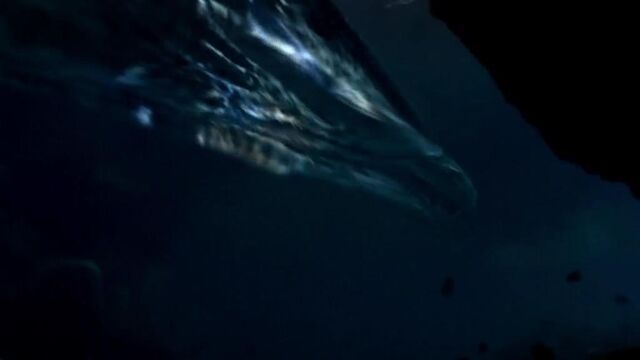 File:SwimmingTentacle.jpg
