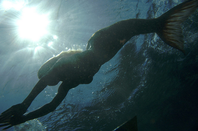 File:Rikki Swimming.png