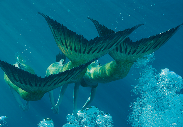 File:Mermaid Tails.png