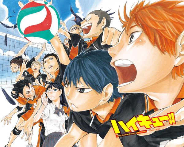 Archivo:6743 haikyuu.jpg