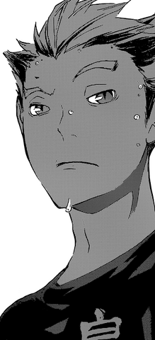 Plik:Bokuto.png