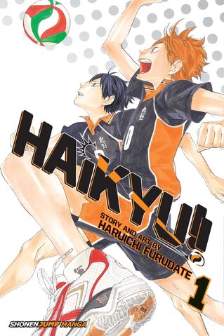File:Vol 1 english cover.jpg