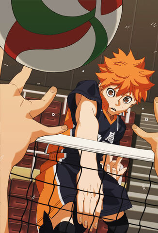 Fichier:Haikyuu by nisego-d8d8kxq.jpg
