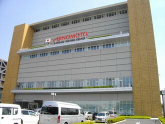 Aijinmoto (real)