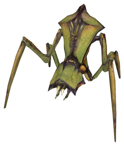 File:Antlion standard skin 1.jpg