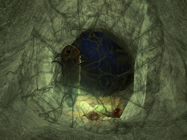 File:Webgrubs.jpg