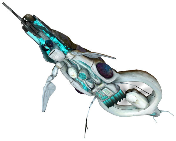 File:Gunshipbelly.jpg