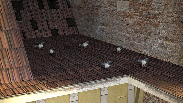 File:Pigeons roof.jpg