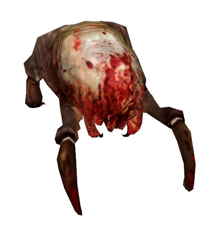 File:Headcrab standard Beta.jpg