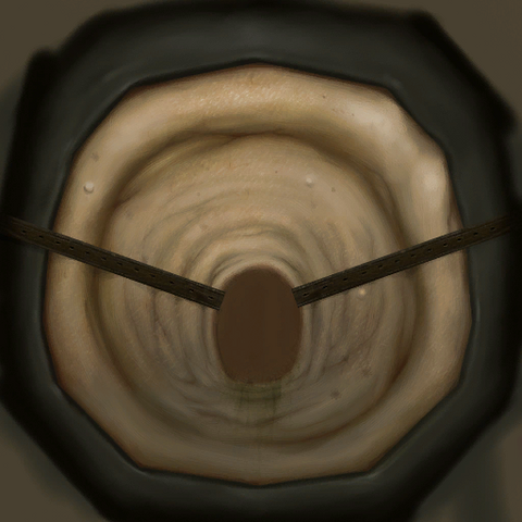File:Face3.png