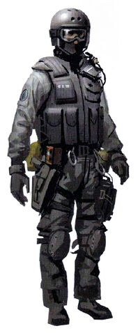 File:Navy seal1.jpg